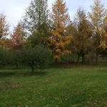 Pod Sową *