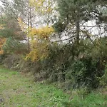 Kemping Pod Sową Drawsko Pomorskie
