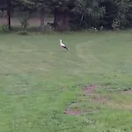 Kemping Pod Sową