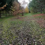 Kemping Pod Sową