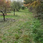 Pod Sową Kemping *
