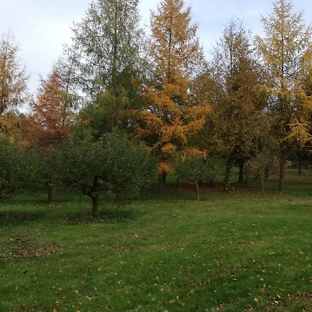 Pod Sową *
