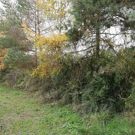 Camping Pod Sowa Drawsko Pomorskie