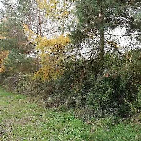 Kemping Pod Sową Drawsko Pomorskie