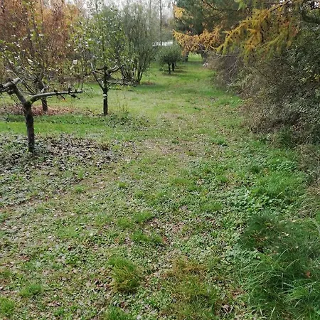 Pod Sową Kemping *
