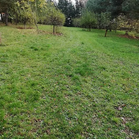 Pod Sowa Campsite