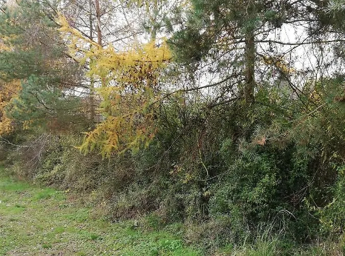 Campingplads Pod Sowa Drawsko Pomorskie