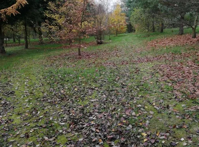 Campingplads Pod Sowa