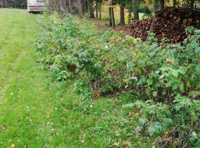 Pod Sowa 波莫瑞地区德拉夫斯科