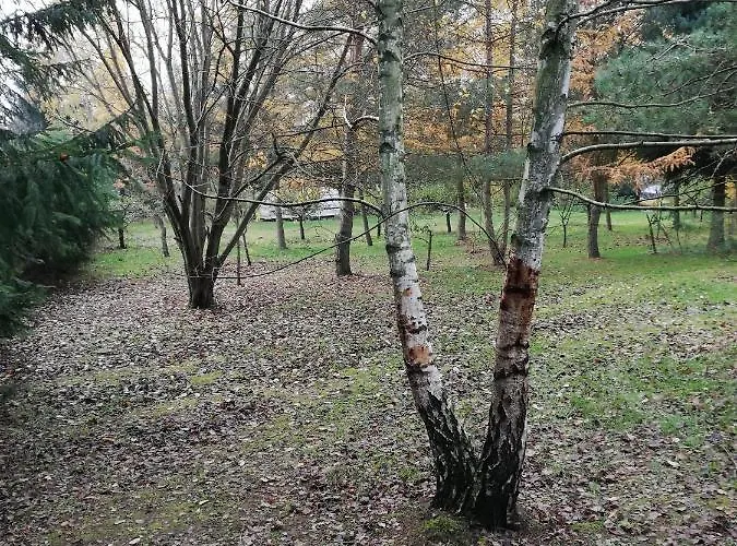 Pod Sowa 营地 波莫瑞地区德拉夫斯科