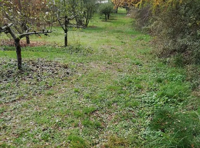 Pod Sowa Campingplads *